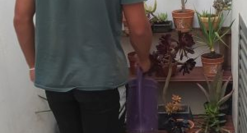 UN PEQUEÑO JARDIN PARA LAS DEPENDENCIAS DEL CPM 